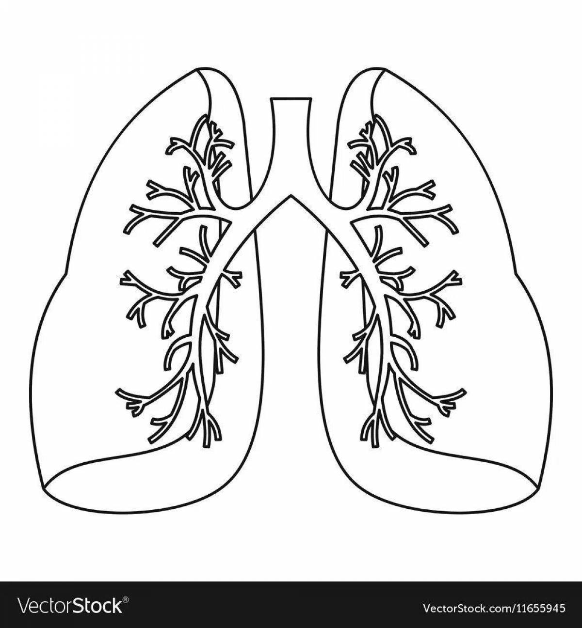 Interesting human lung coloring for kids