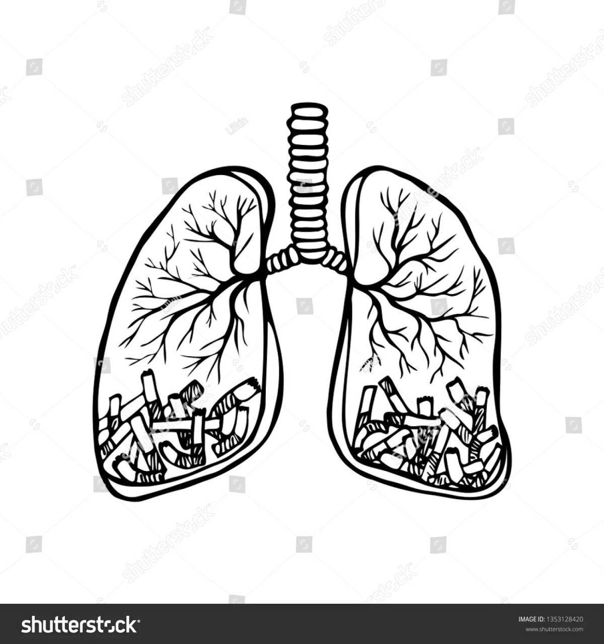 Human lungs for children #4