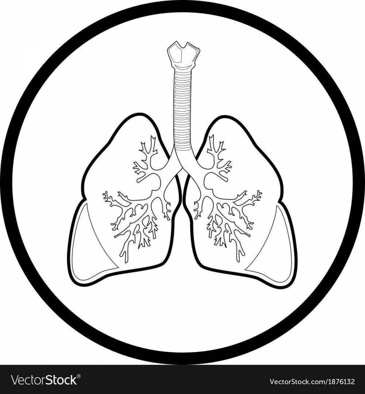 Human lungs for children #7