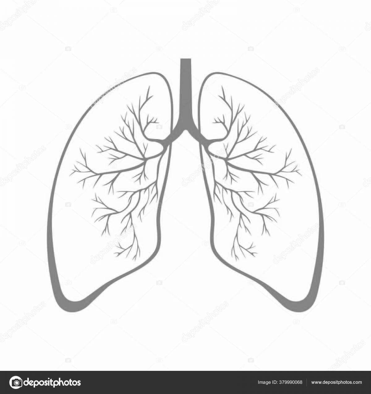Human lungs for children #8
