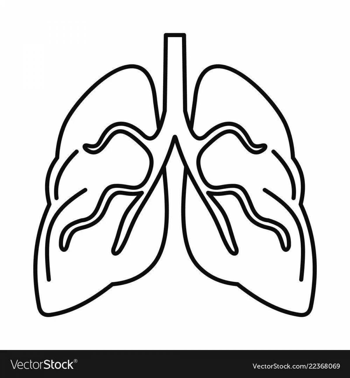 Human lungs for children #9