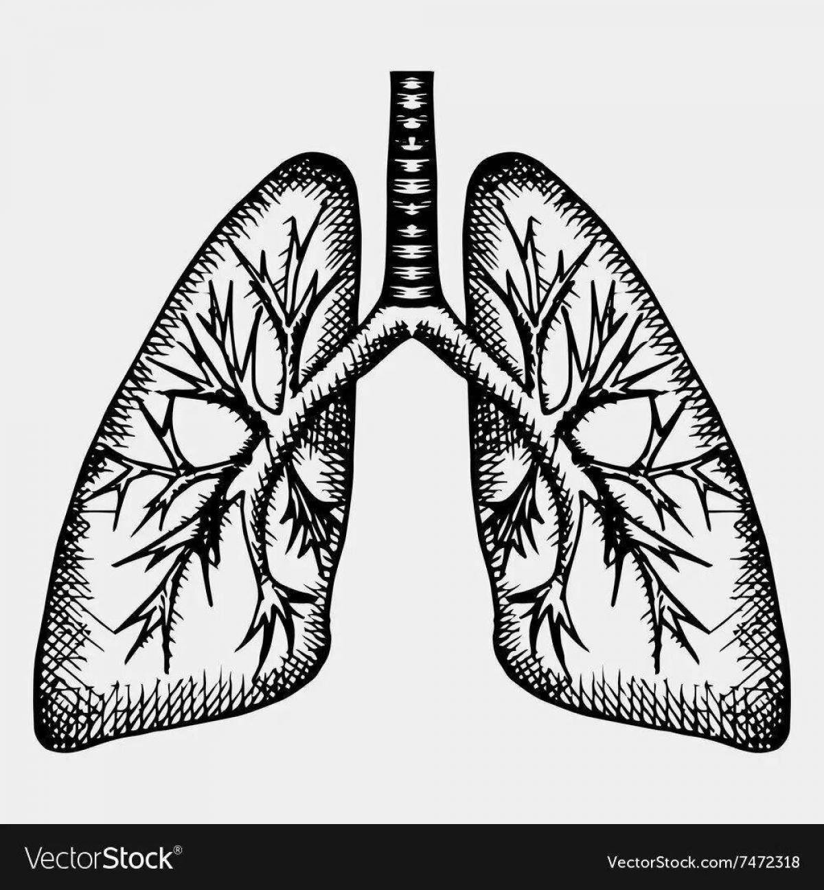 Human lungs for children #10