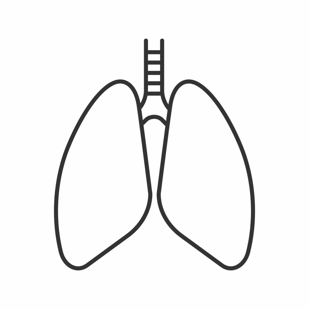 Human lungs for children #11