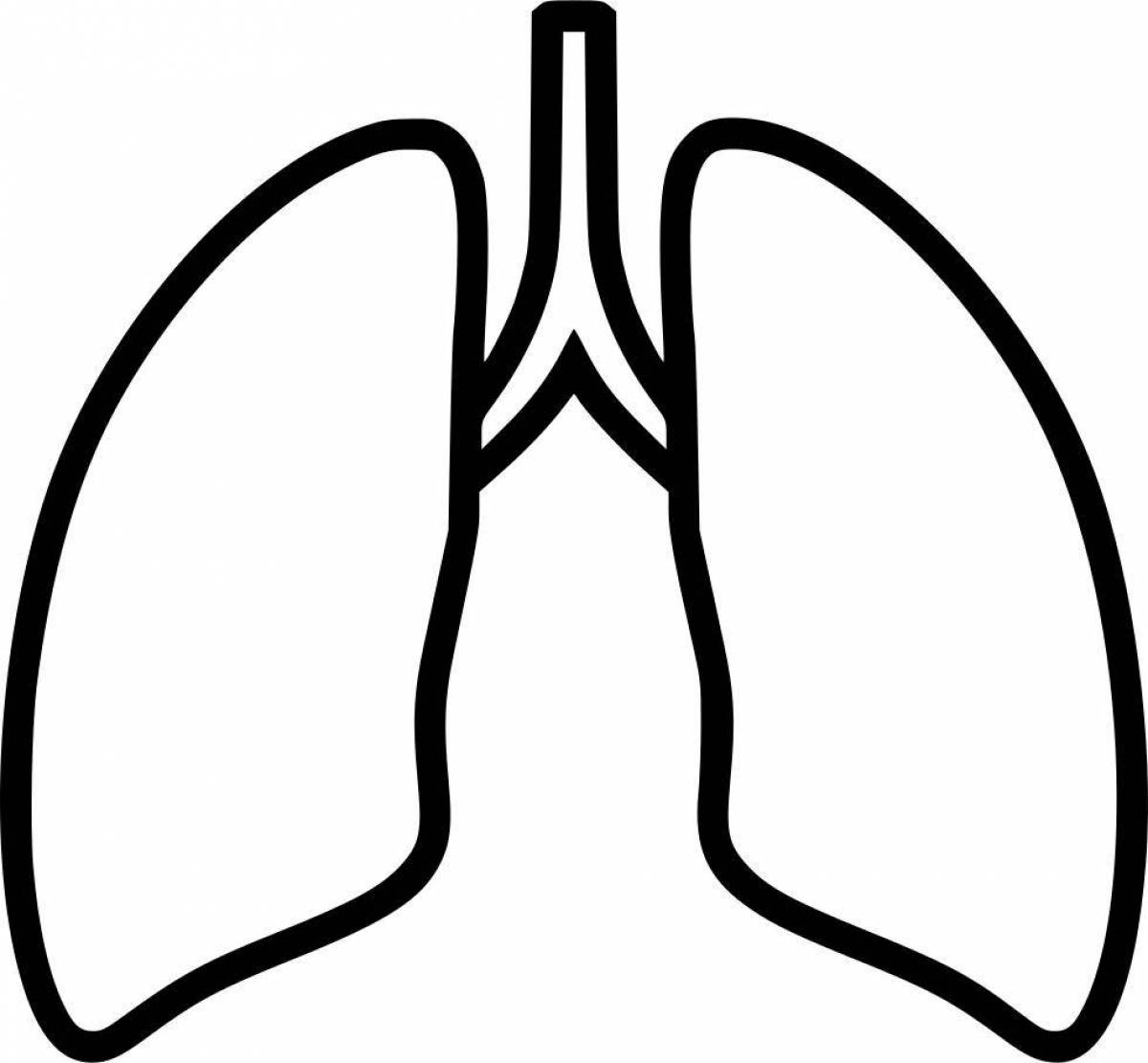Human lungs for children #13