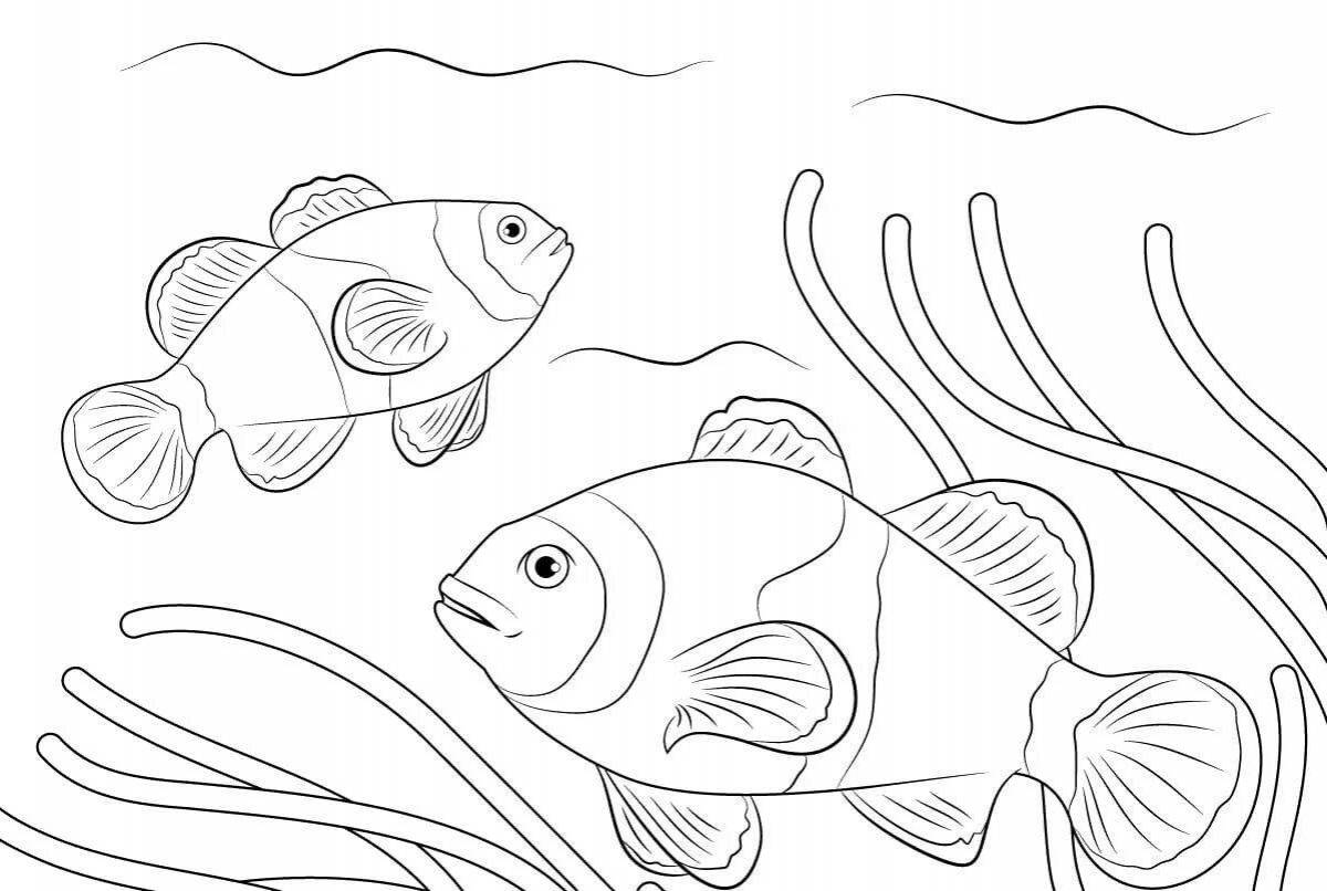 Colourful aquarium fish coloring page