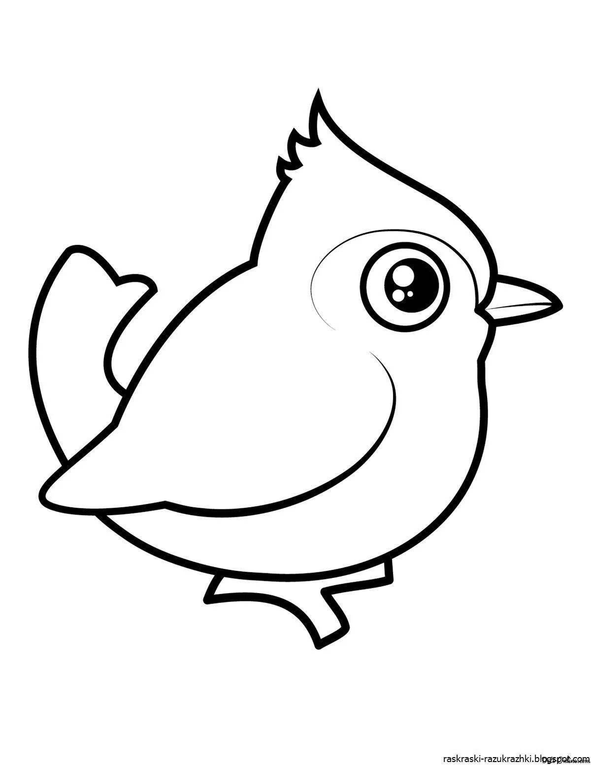 Playful bird coloring book for kids