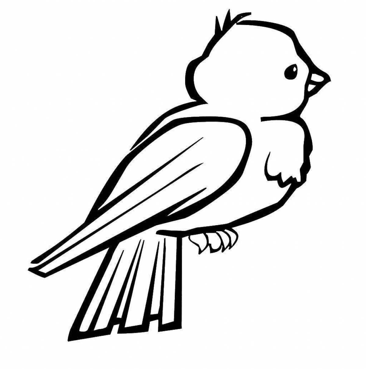 Adorable bird drawing for kids