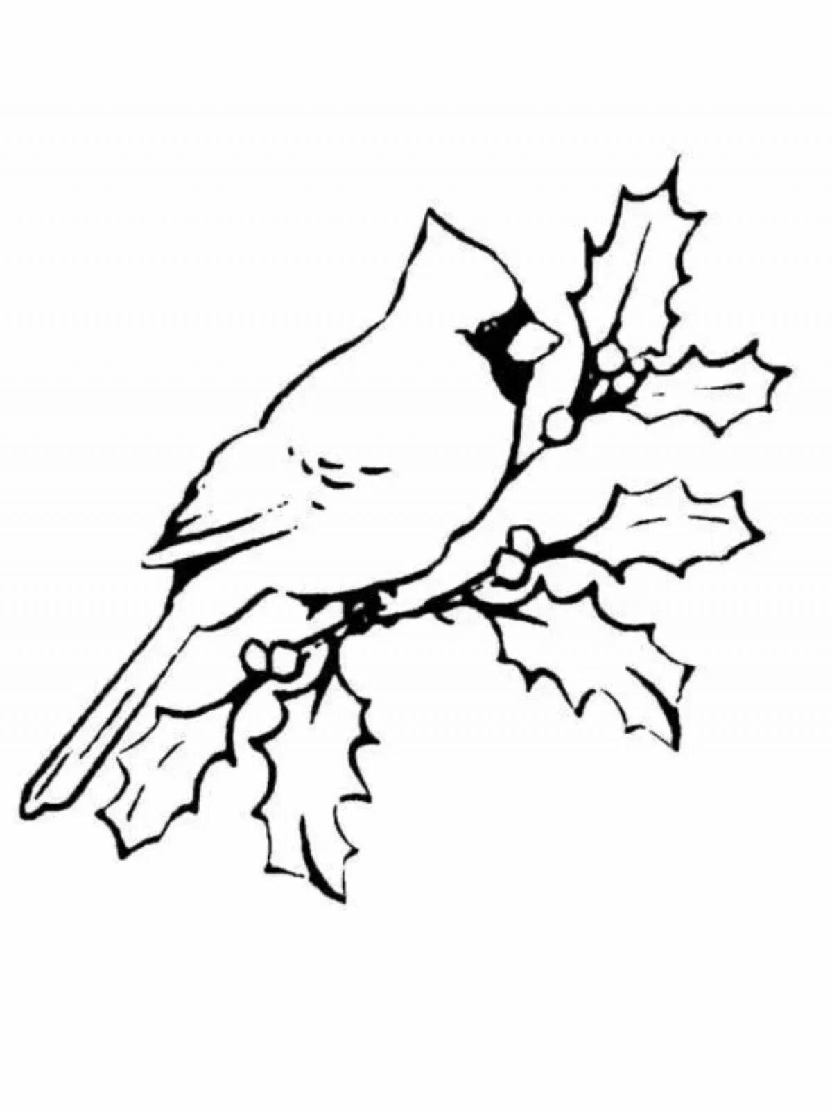 Безмятежная раскраска птицы на ветке зимой