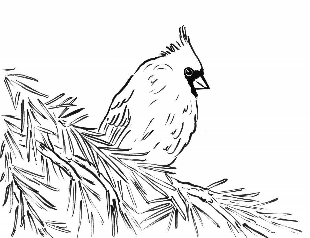 Fluffy coloring of a bird on a branch in winter