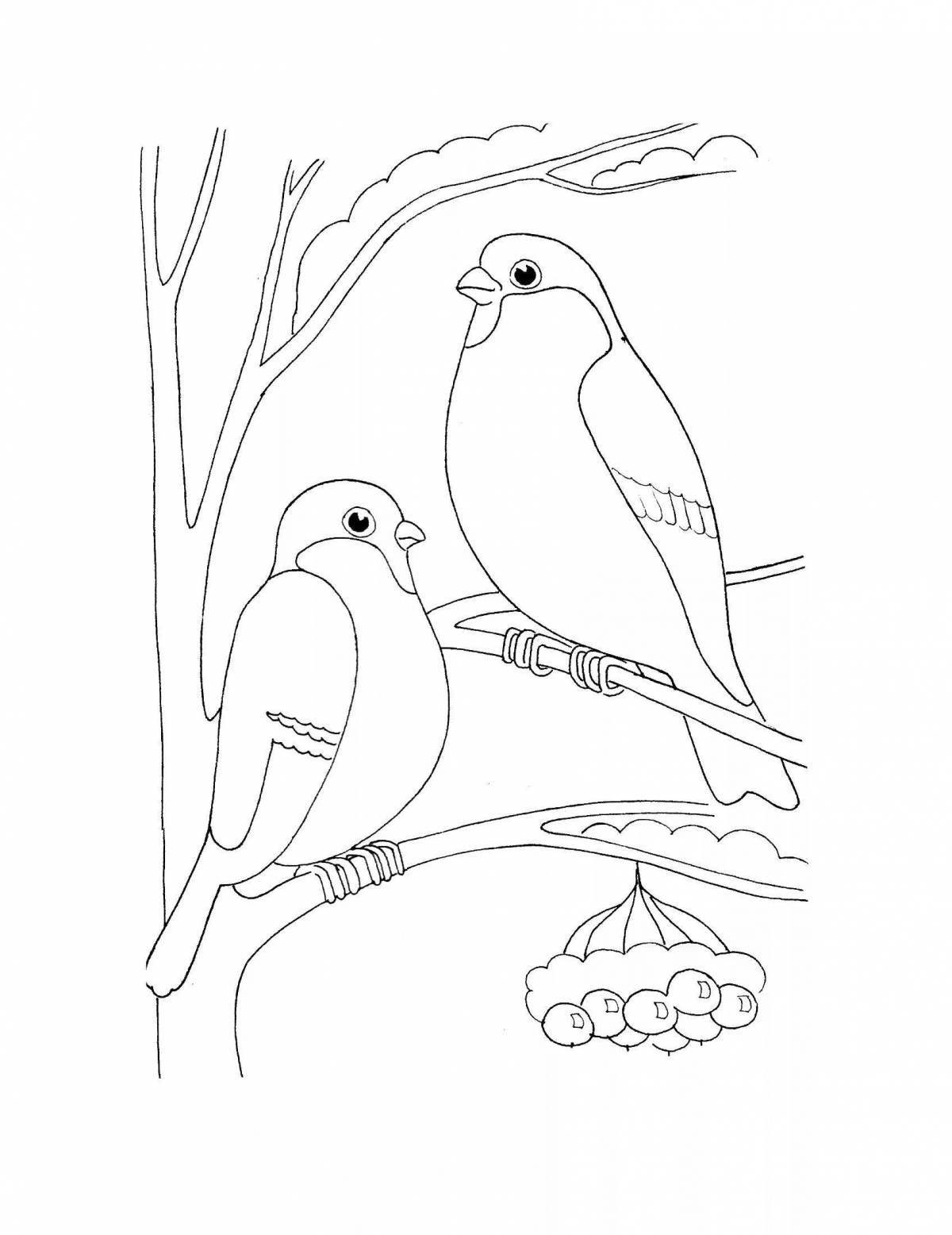 Coloring book flapping birds on a branch in winter