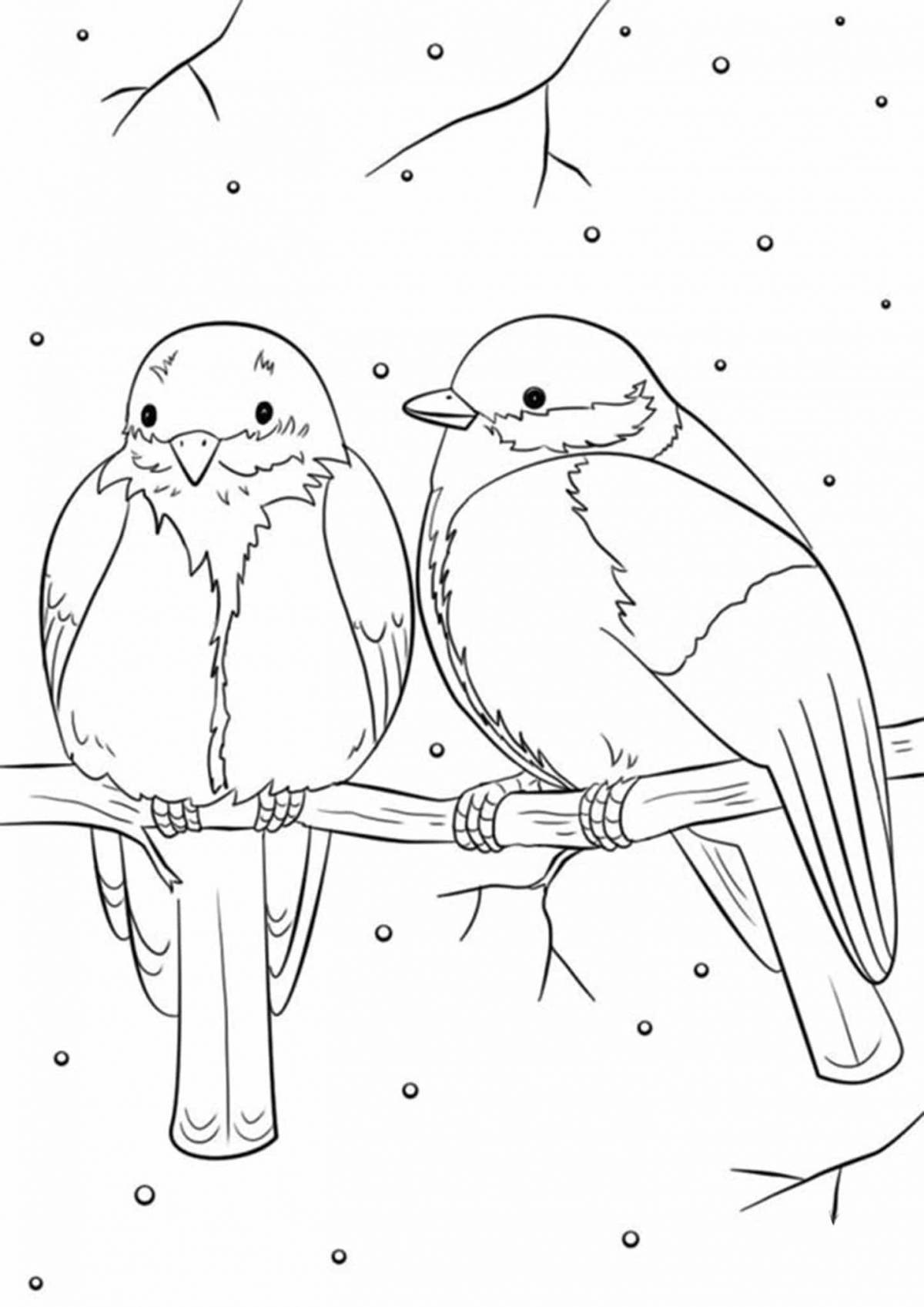 Coloring book flying birds on a branch in winter