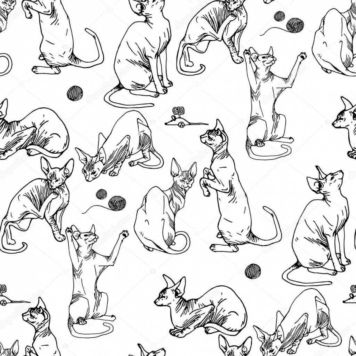Cats for coloring content