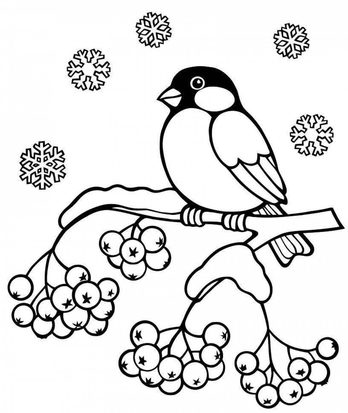 Exalted coloring page bullfinch bird photo winter