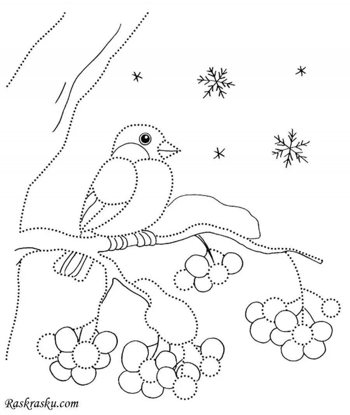 Sublime coloring page bullfinch bird photo winter