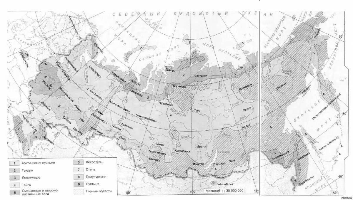 Природные зоны 8 класс география контурная карта