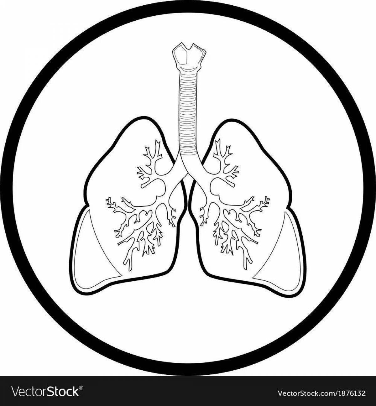 Шаблон легких. Легкие человека черно белые. Легкие человека чб. Здоровые легкие раскраска. Здоровое легкое раскраска.