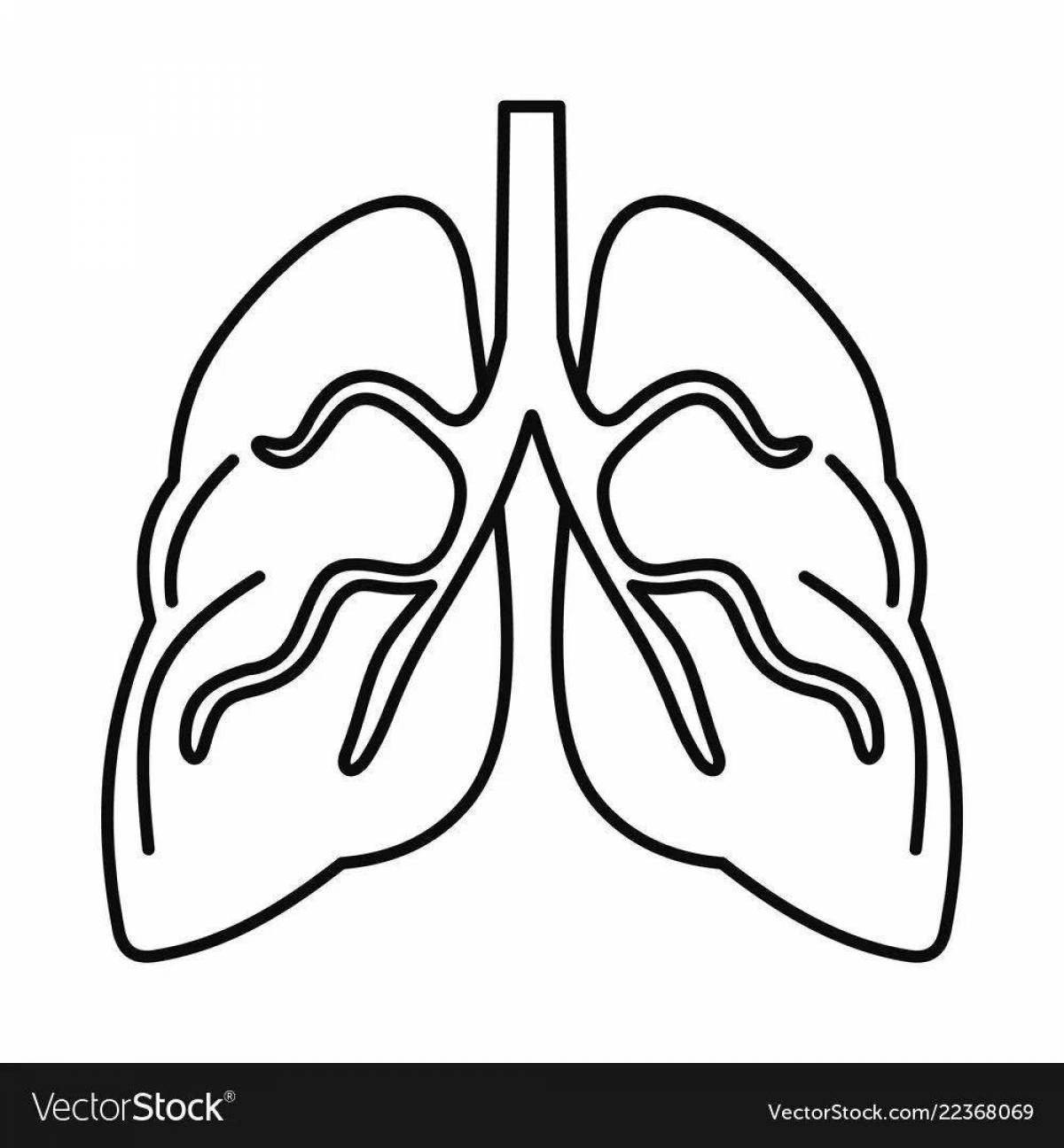 Легкие человека рисунки для детей