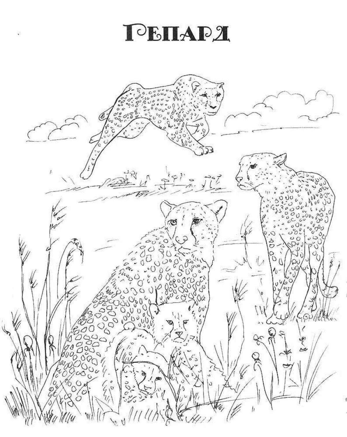 Wonderful wild animal coloring pages for girls