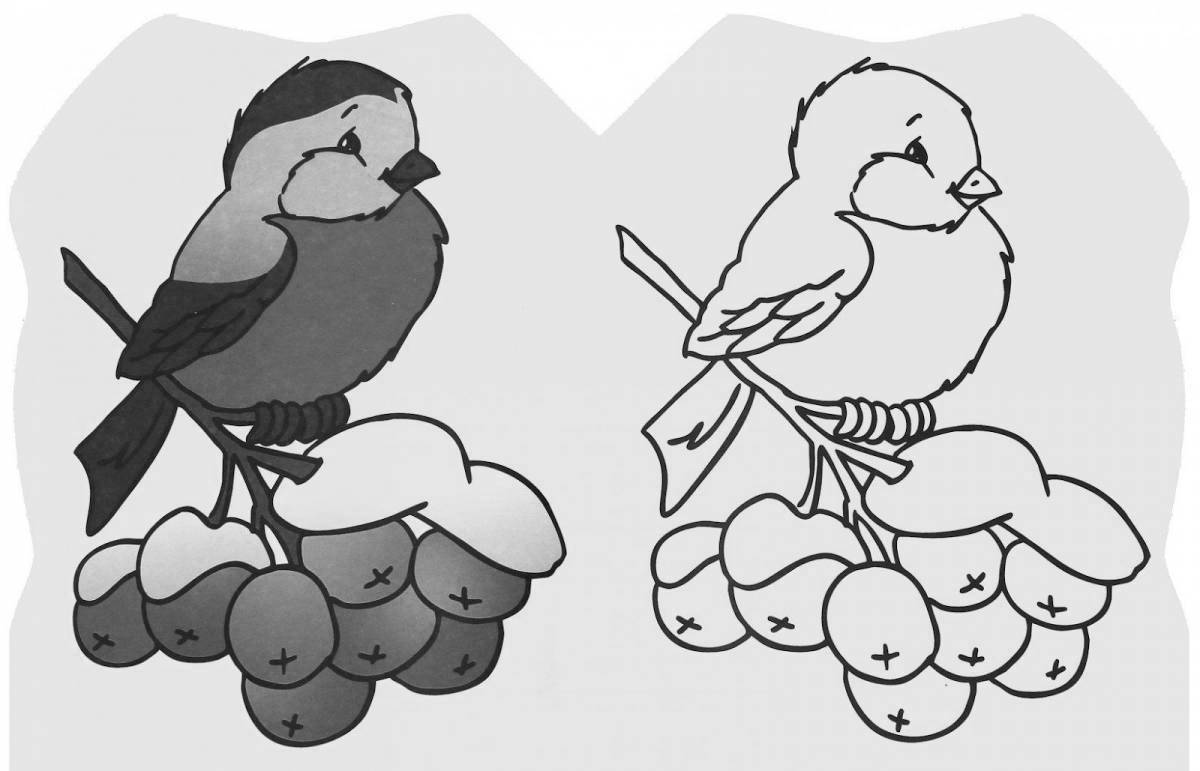 Colourful wintering birds coloring page