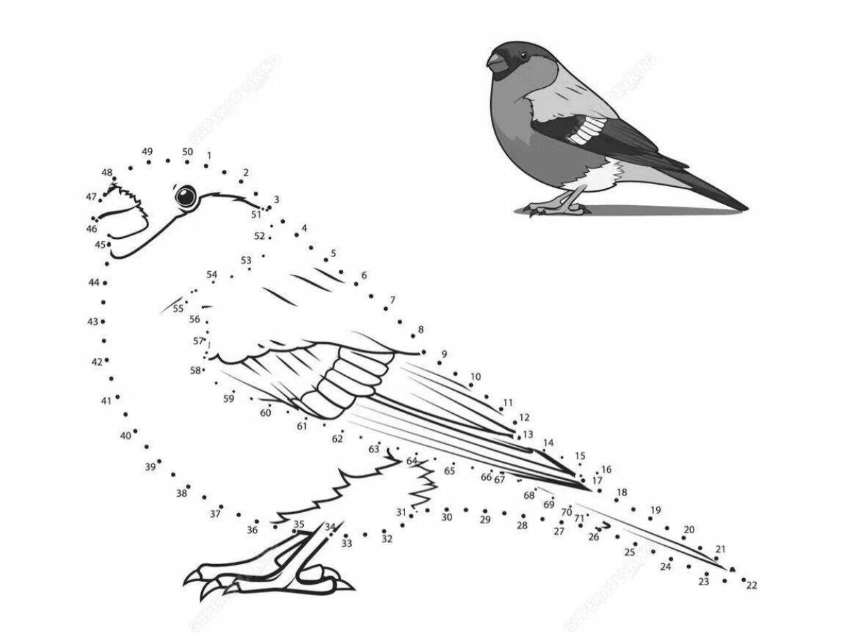 Раскраска игривые зимующие птицы