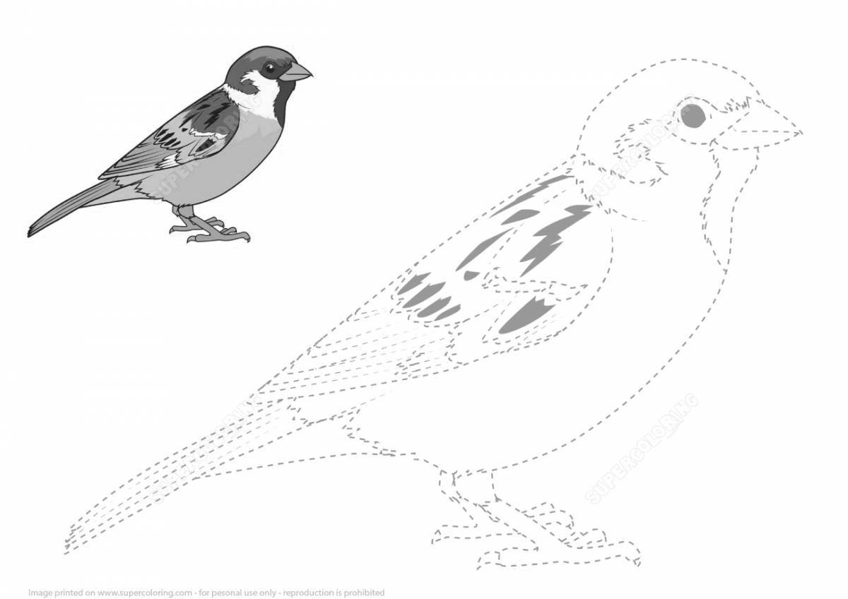 Раскраска причудливые зимующие птицы