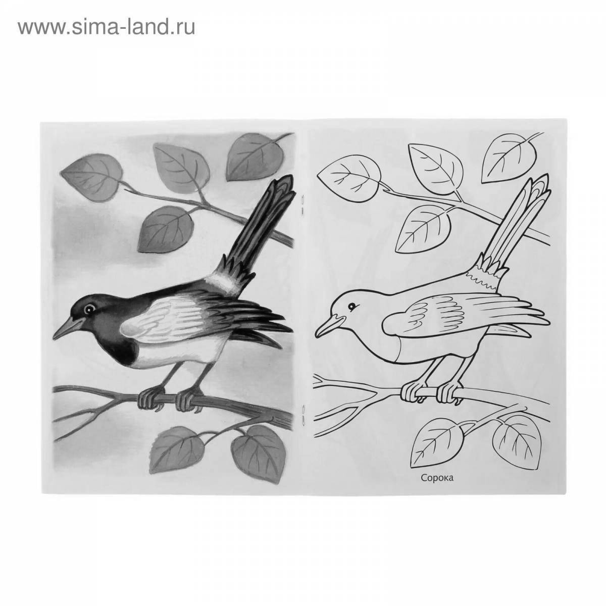 Раскраска креативные зимующие птицы