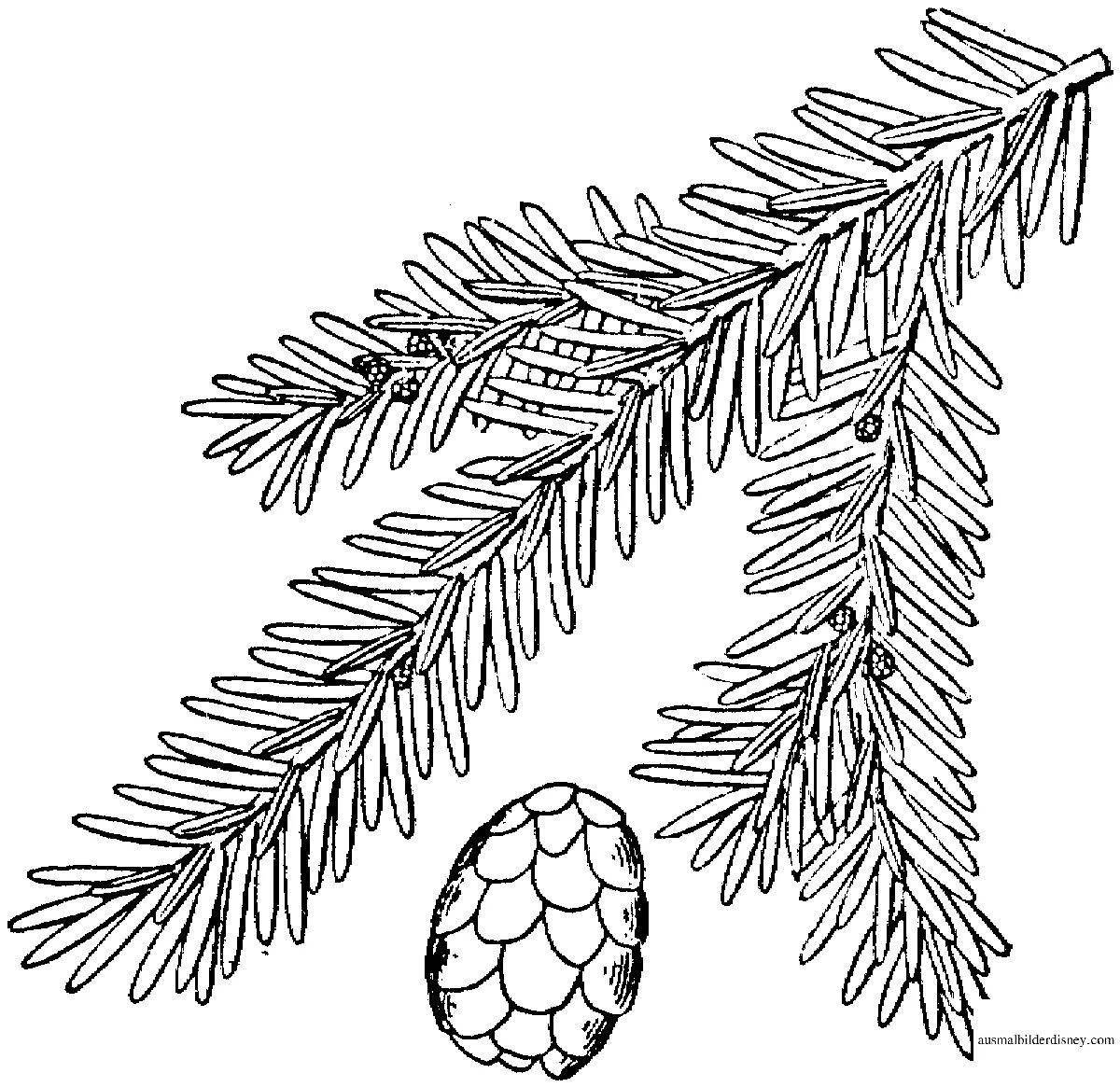 Shiny coloring book spruce branch with toys