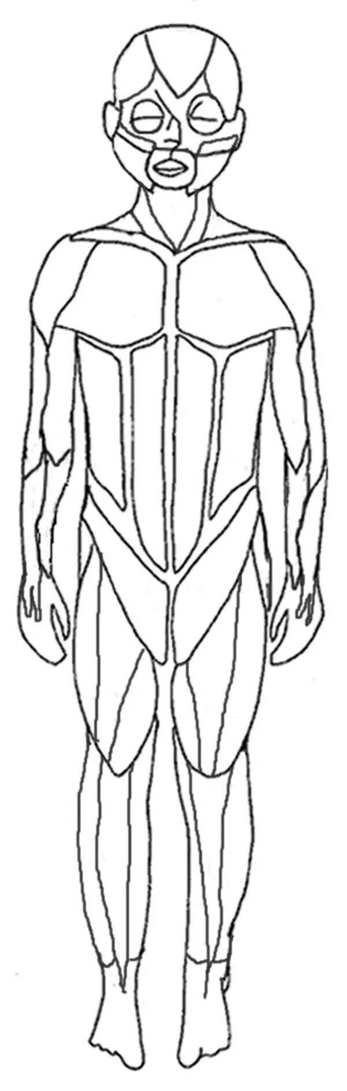 Educational human anatomy coloring book for kids