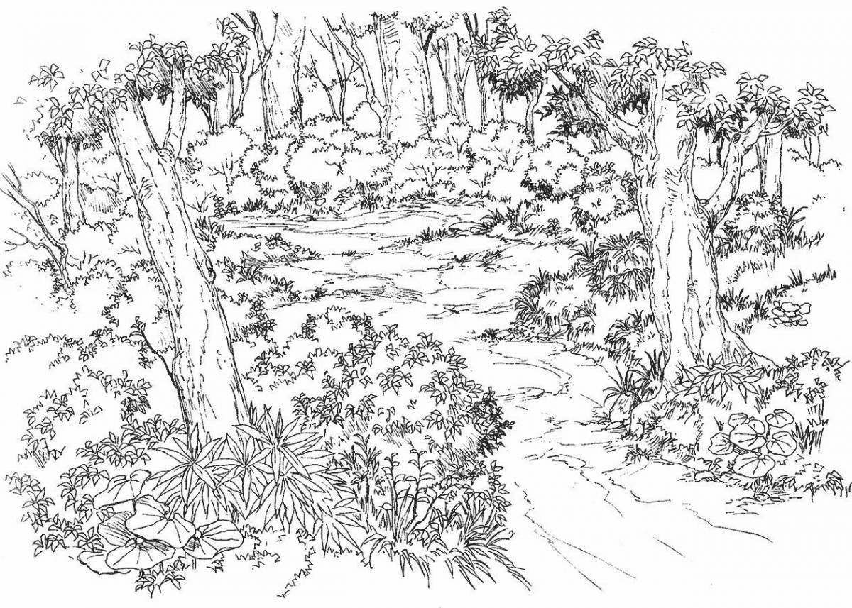 Great morning in a pine forest