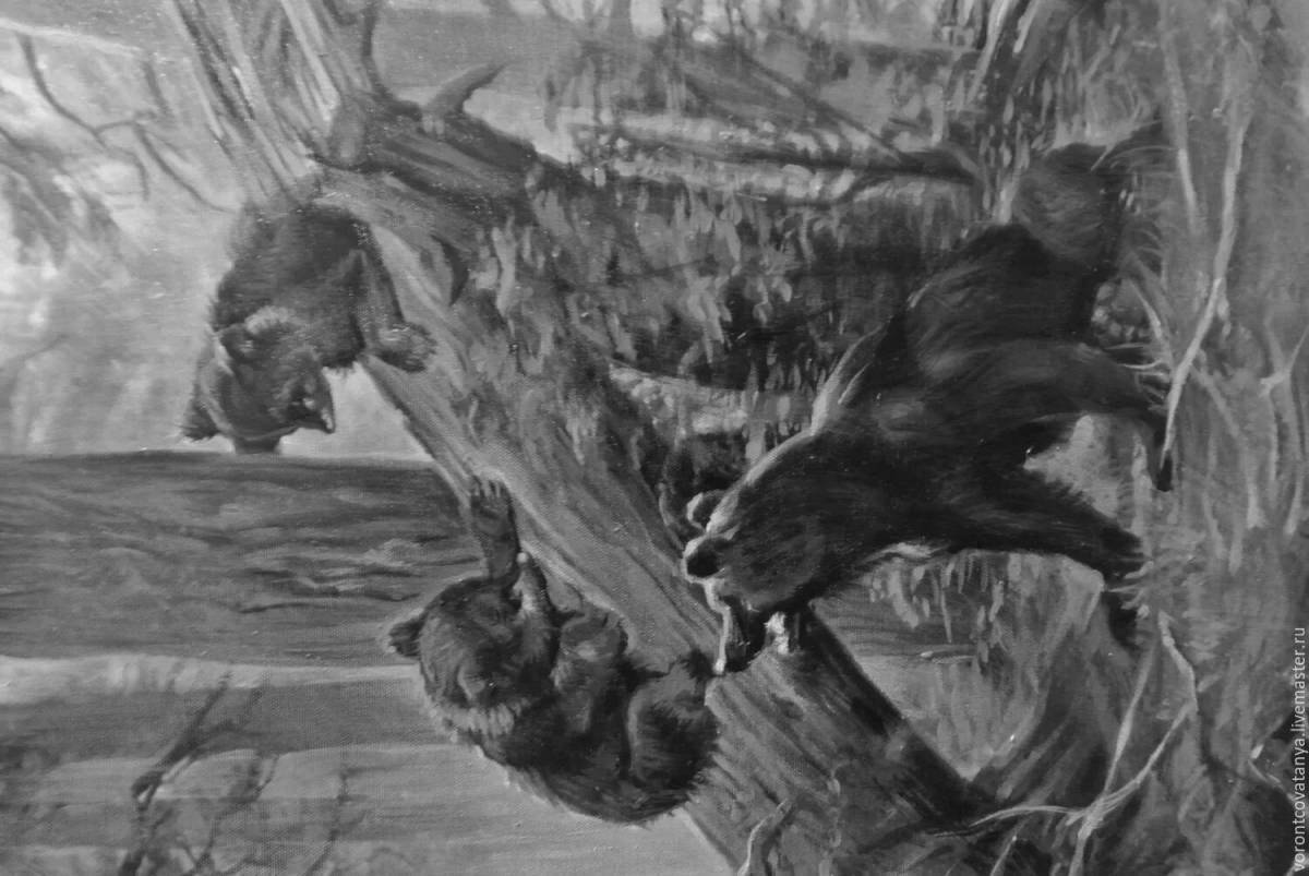 A dreamy morning in a pine forest