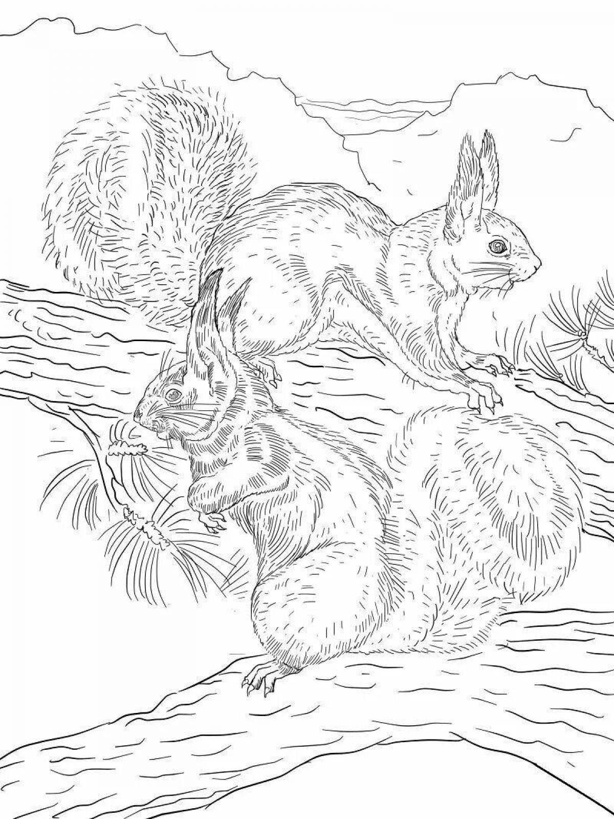 Coloring book playful winter squirrel