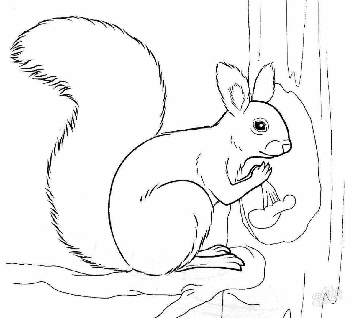 Cheerful winter squirrel coloring book