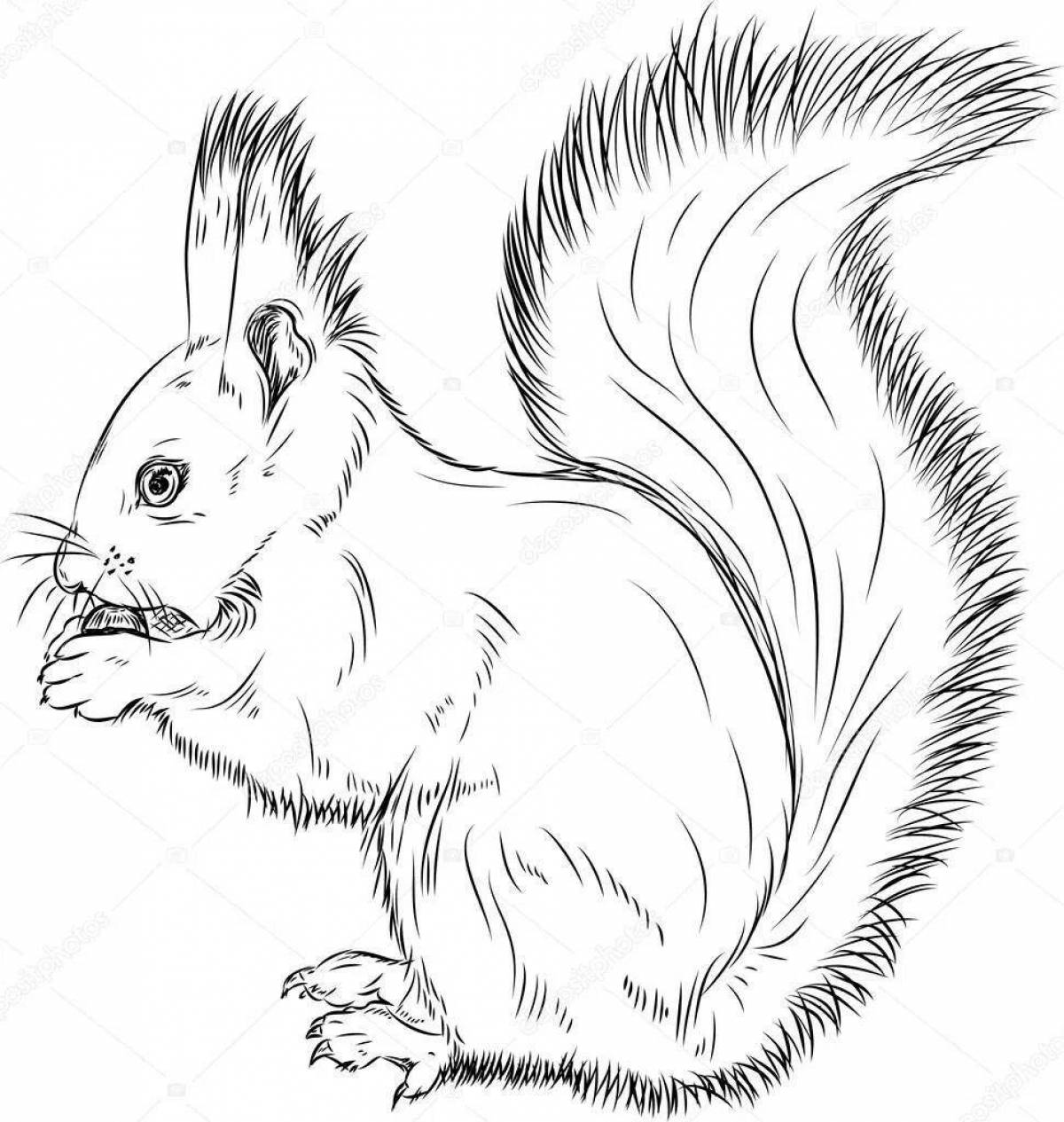 Adorable winter squirrel coloring page