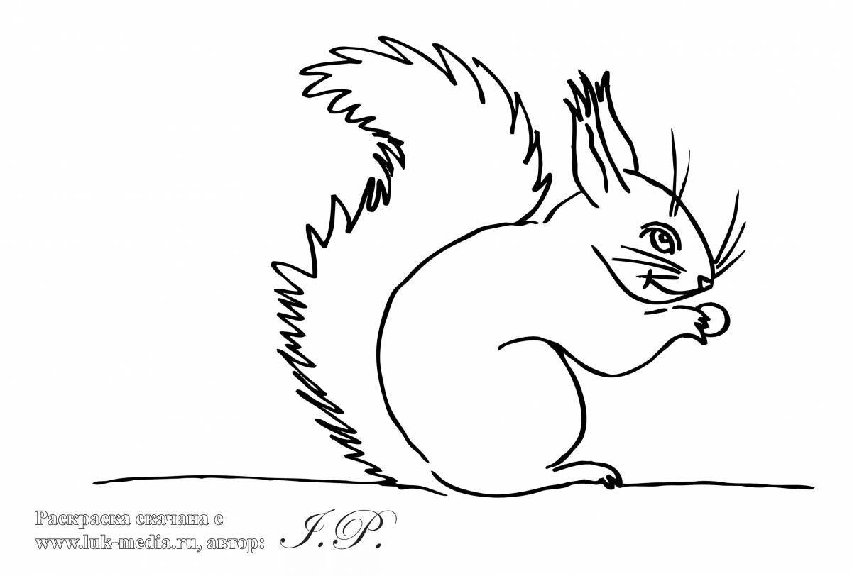 Coloring book gorgeous winter squirrel