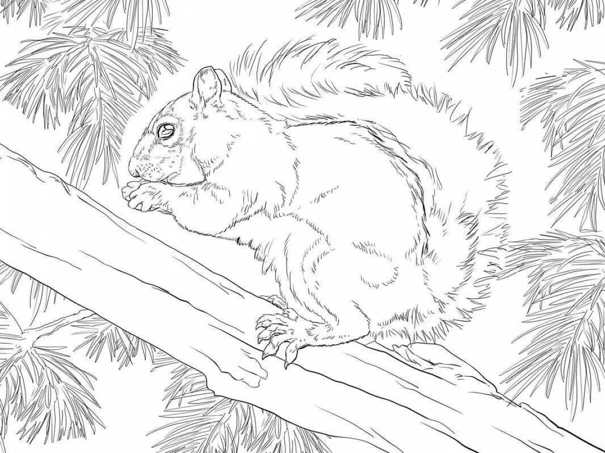 Glowing winter squirrel coloring page