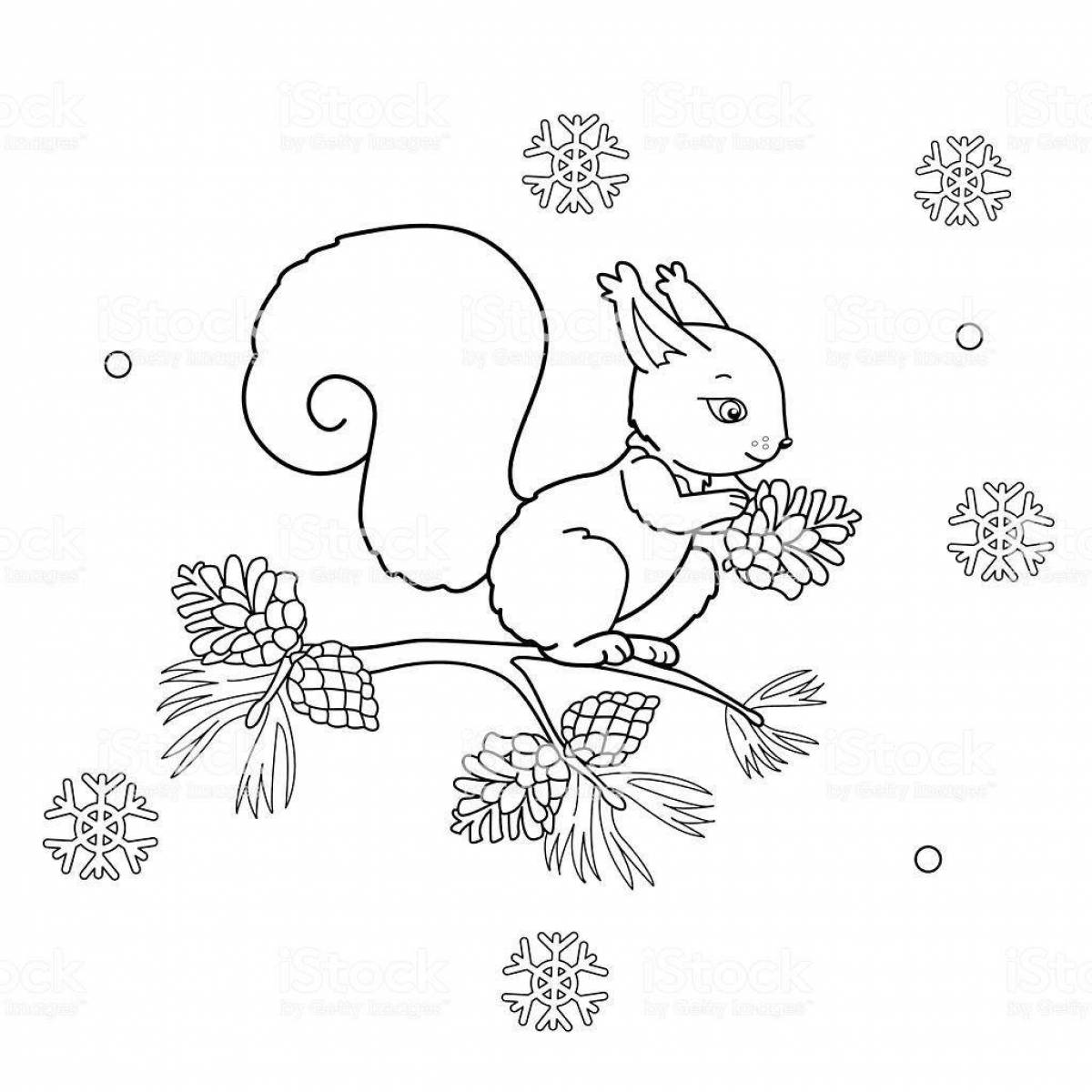 Colouring funny winter squirrel