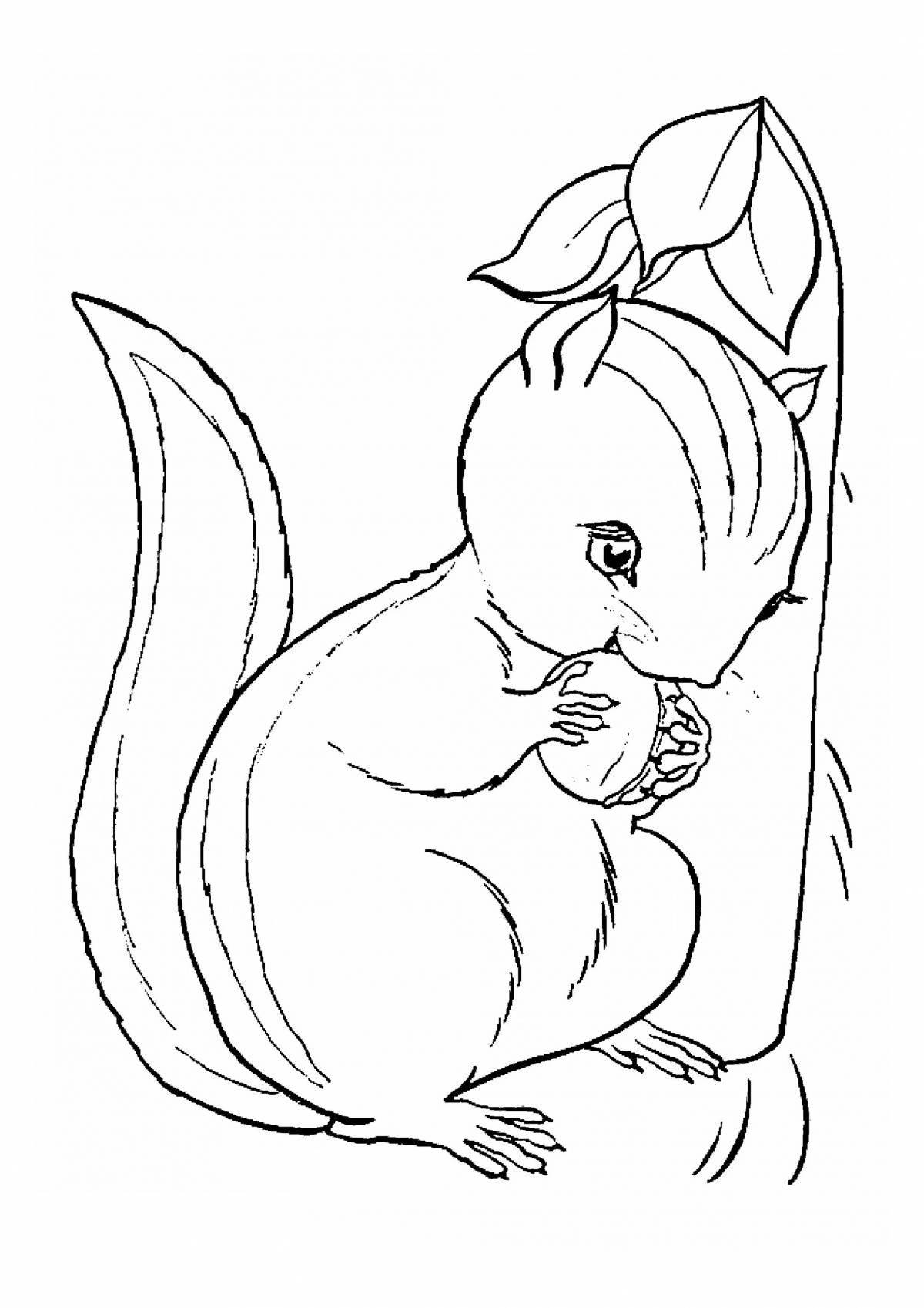 Adorable squirrel drawing for kids