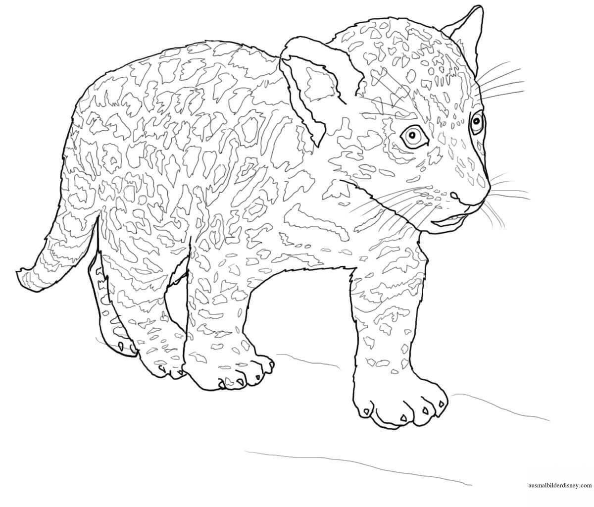 Playful jaguar coloring page for kids