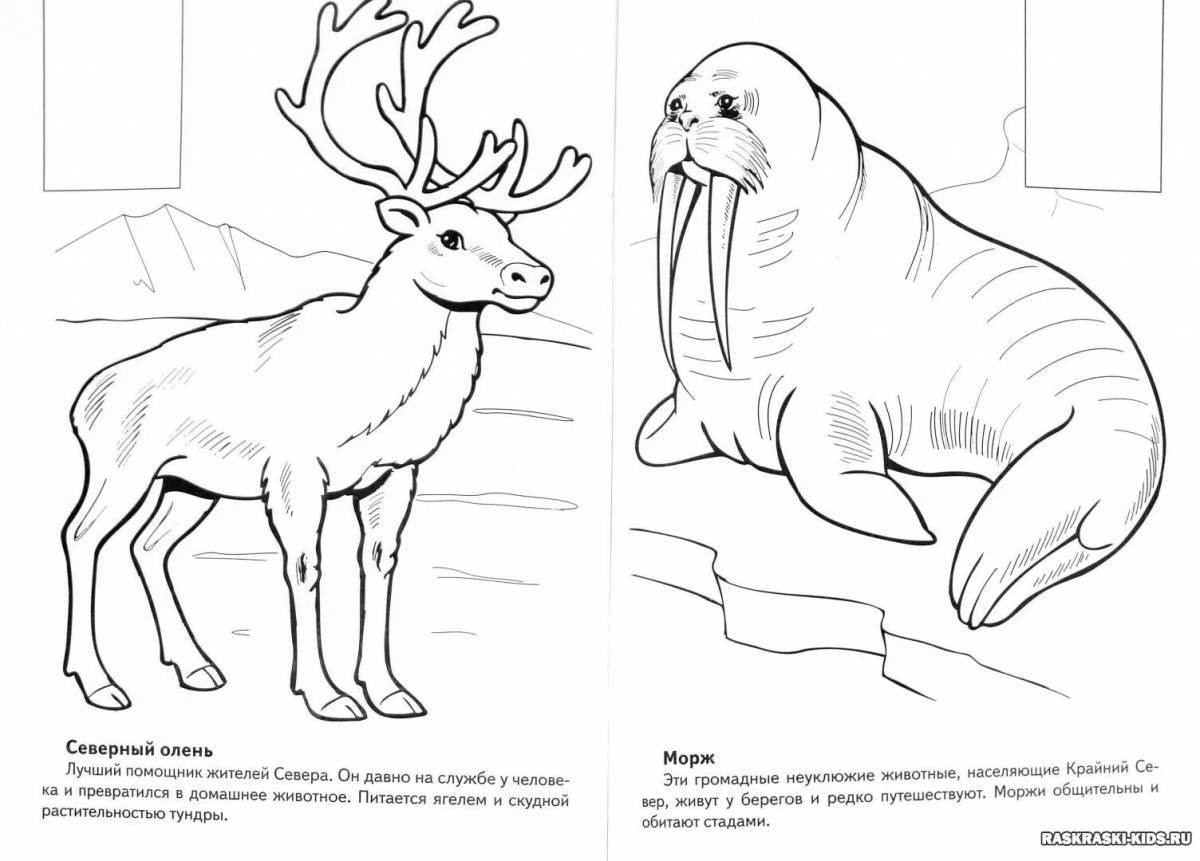 Playful coloring animals of the north
