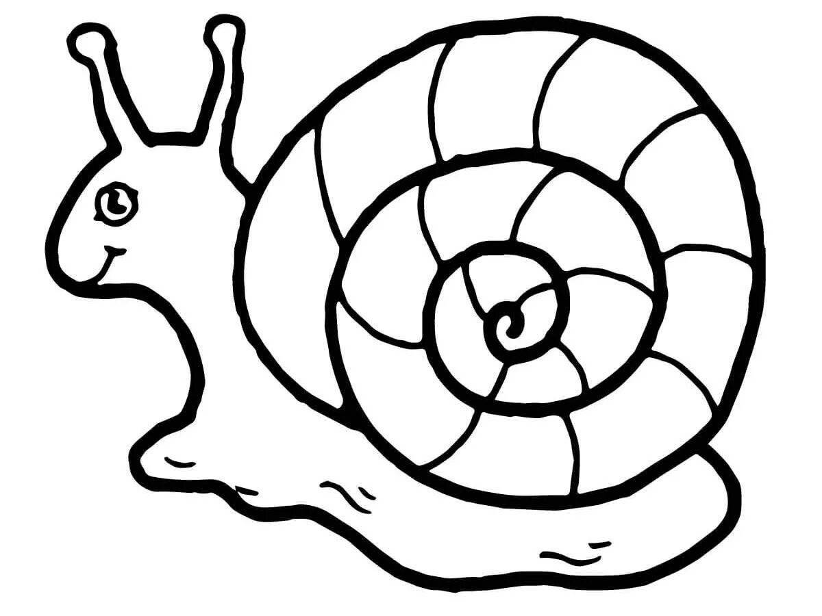 Adorable snail drawing for kids