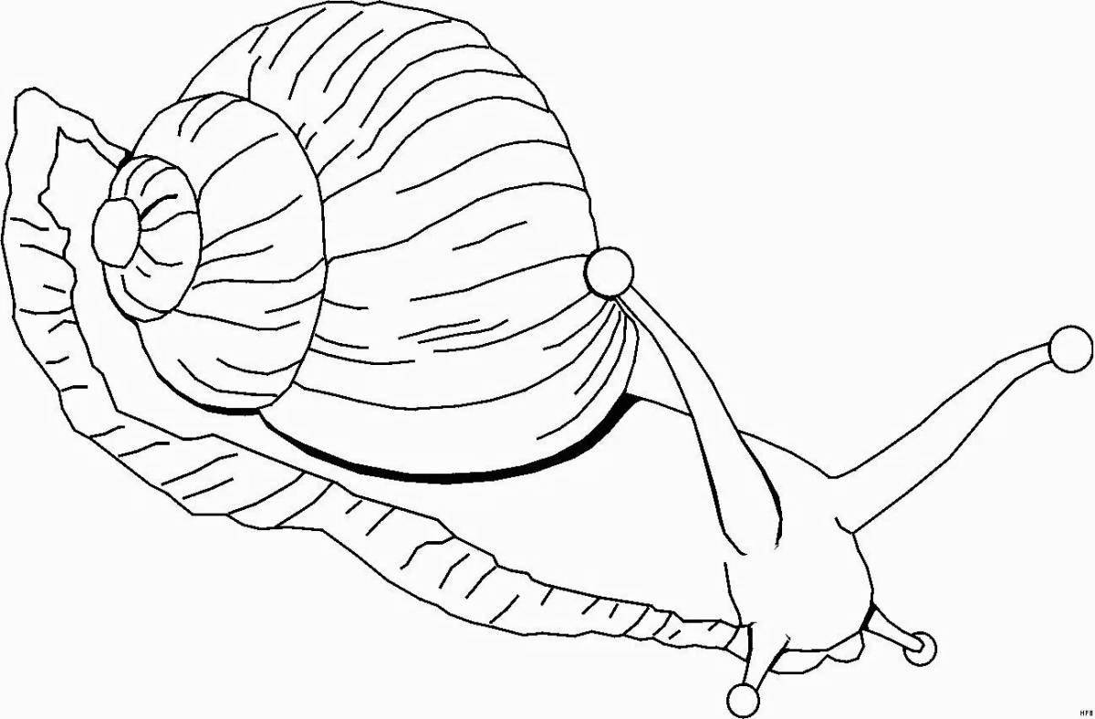 Color drawing of a snail for children