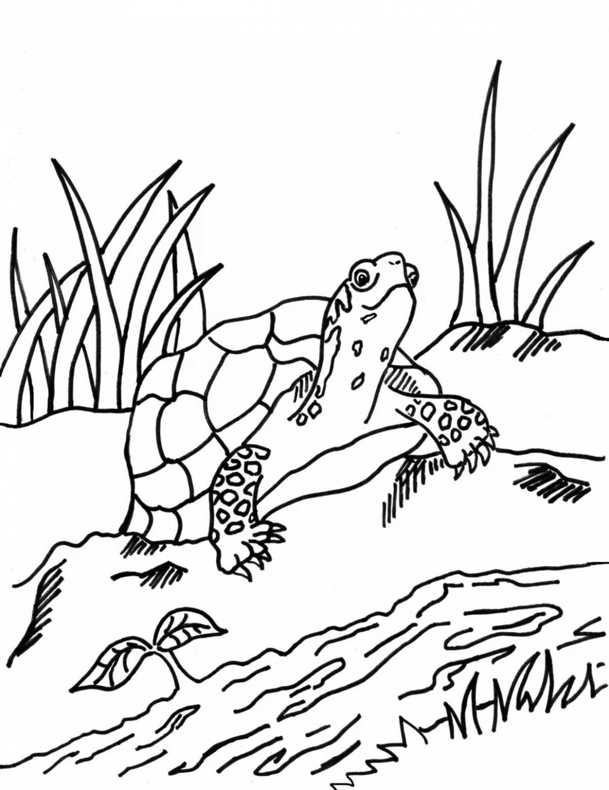 Сказочная раскраска черепаха тортилья из пиноккио