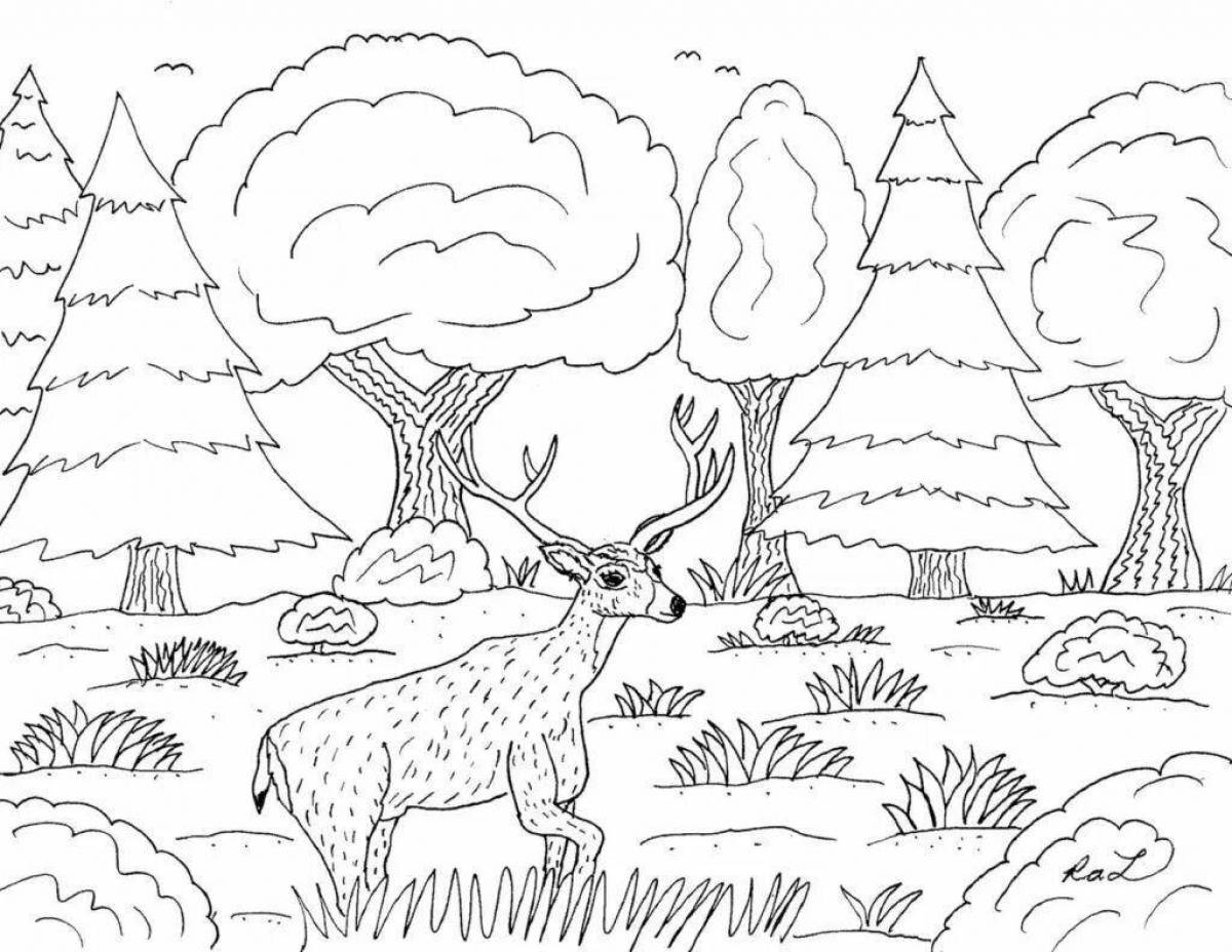 Coloring book shiny winter forest with animals