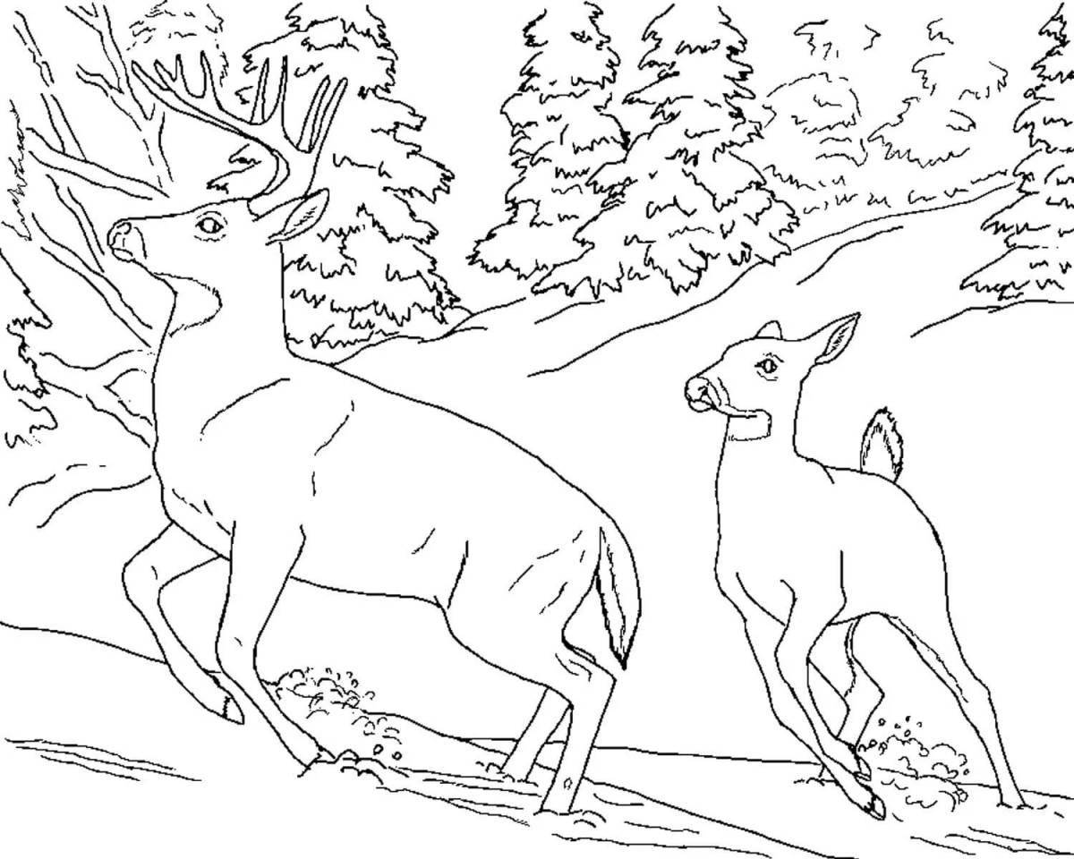Coloring page lush winter forest with animals