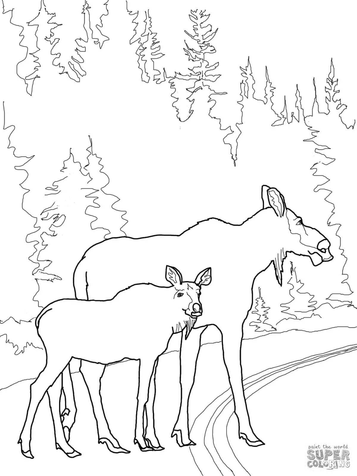 Coloring page idyllic winter forest with animals