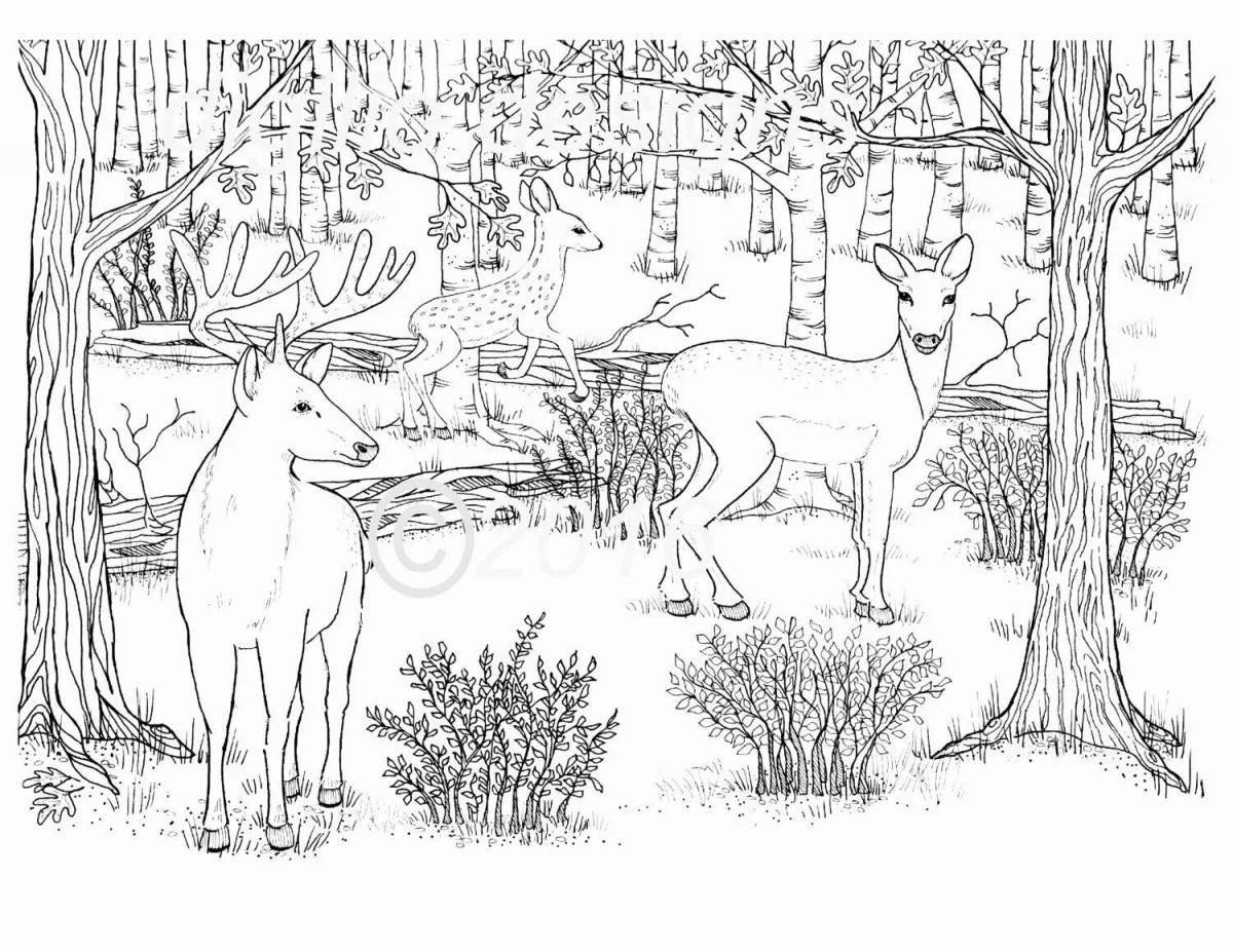 Coloring book dreamy winter forest with animals