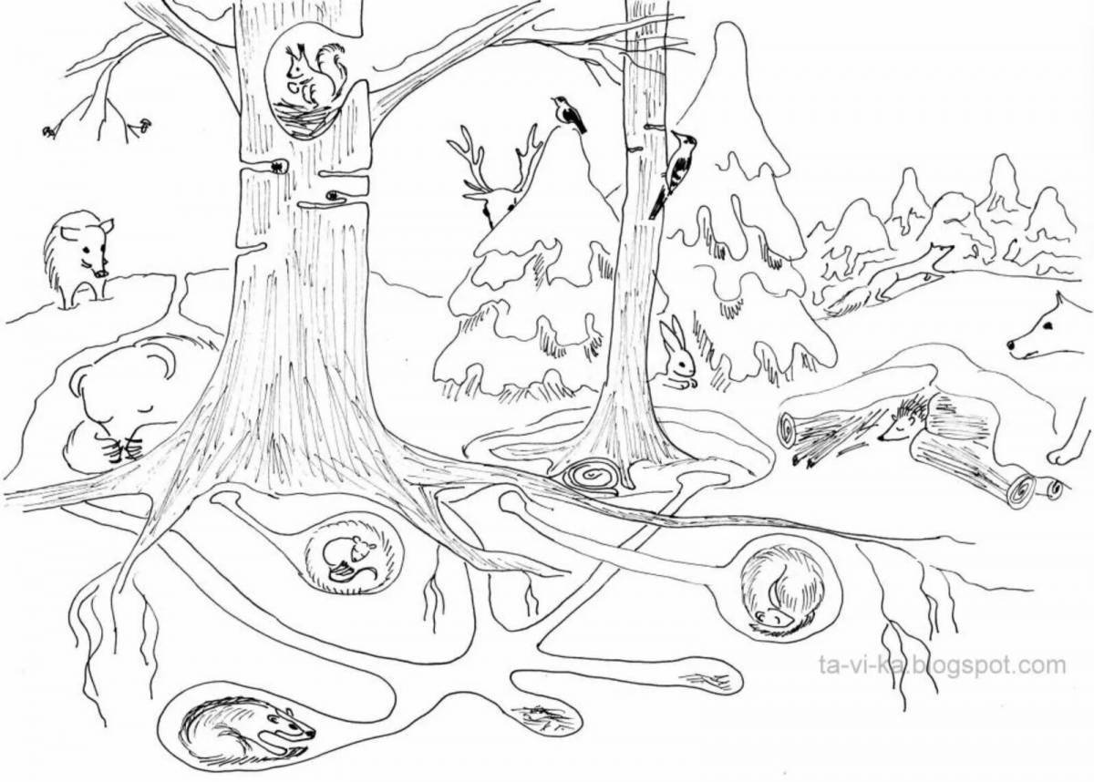 Bright winter forest with animals coloring book