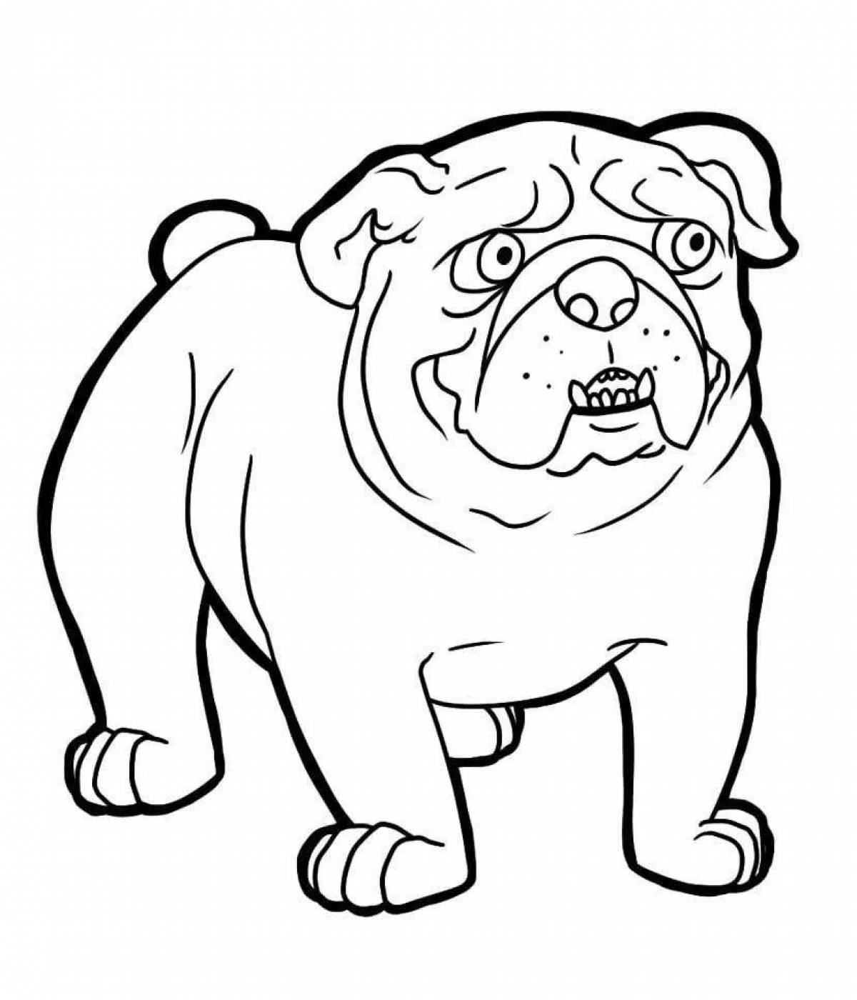 Cute bulldog coloring pages for kids