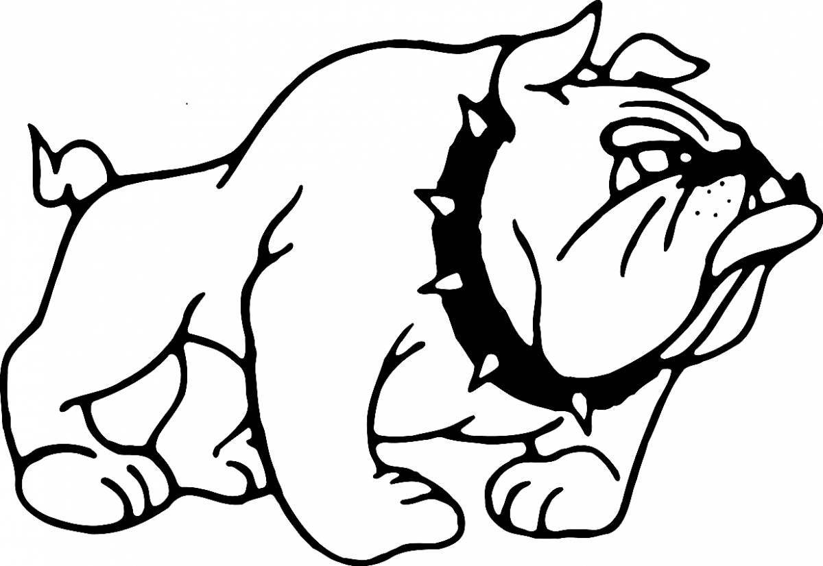 Colourful bulldog coloring pages for kids