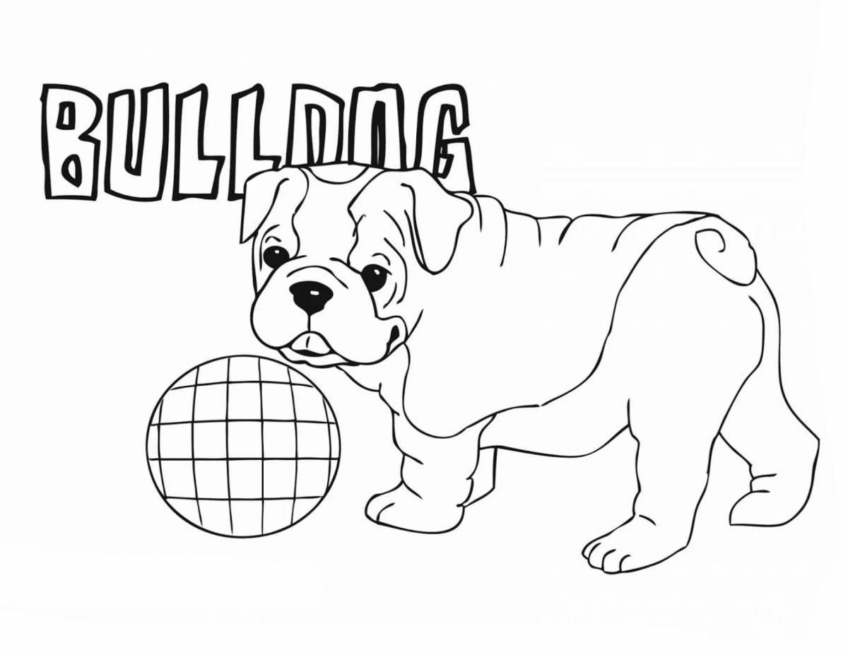 Coloring book excited bulldog for kids